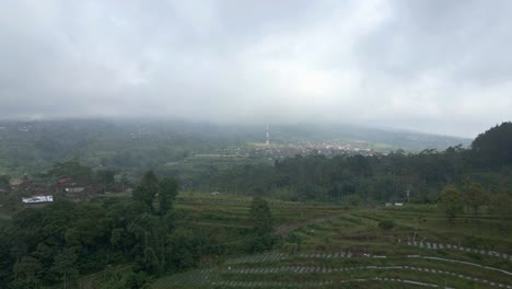 Aerial-view-of-tropical-rural-landscape