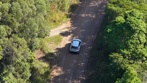 a car travels along a winding forest road, captured from above with vibrant greenery and natural lighting