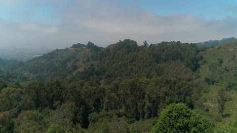 Berkeley-hills-aerial--Northern-California