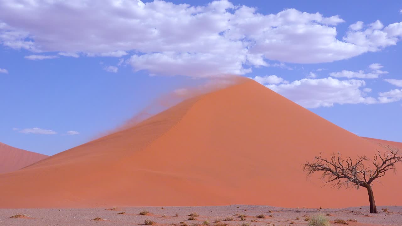 vientos muy fuertes soplan arena fuera de la duna 45 en una tormenta de arena masiva en el parque nacional naukluft de namib namibia 1
