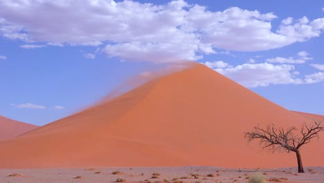 在南米布納克魯夫特國家公園 (namib naukluft national park) 發生的巨大沙風中,非常強烈的風吹出沙丘45上的沙子.