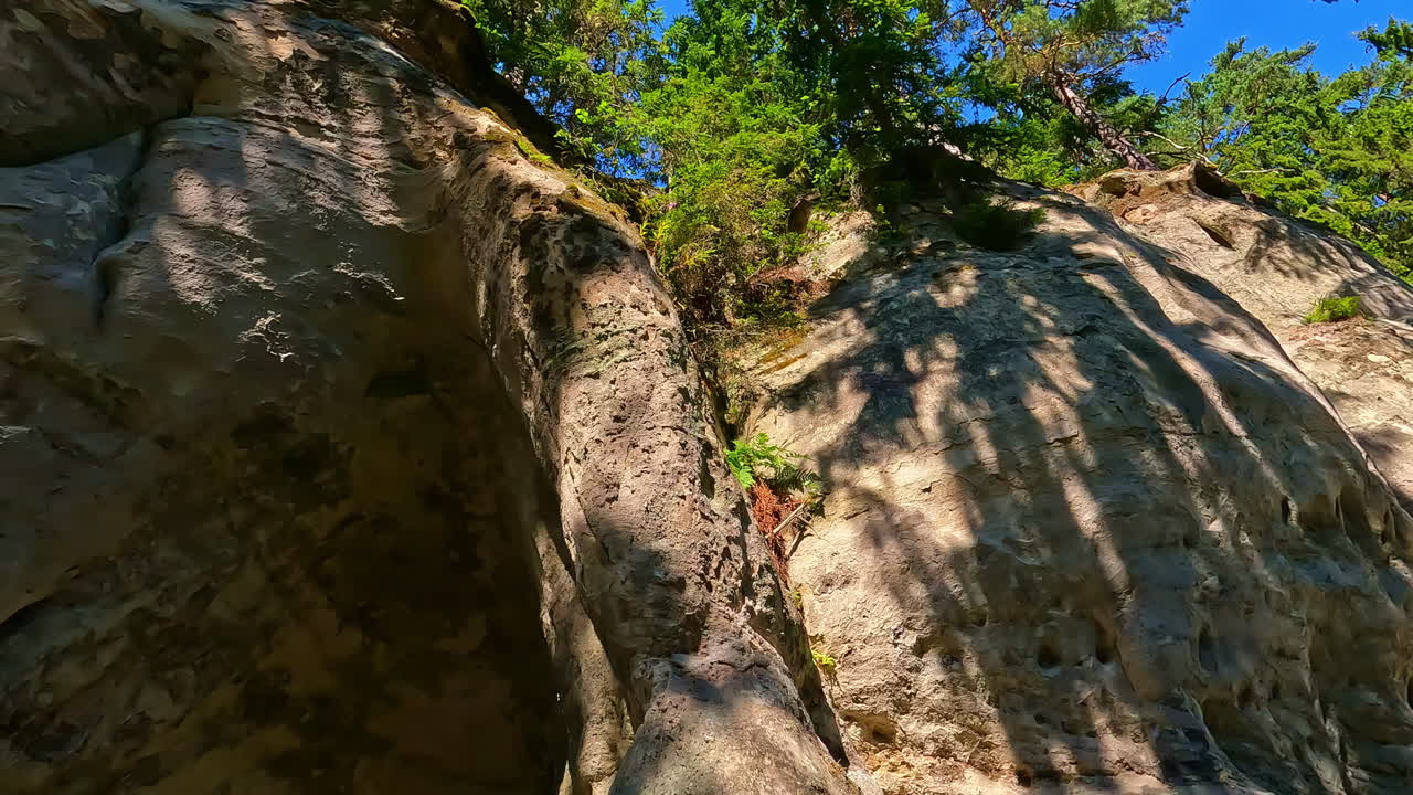 Sunlit Rock Formations with Forest Canopy