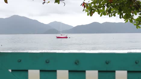 Revealing-upward-traveling-shot-of-tree-and-lonely-boat-in-the-middle-of-the-sea