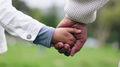 father, child and holding hands at park for care