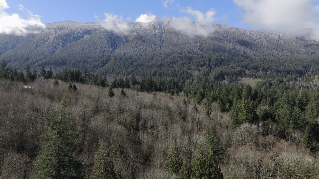 cordillera de bosque perenne y paisaje disparado hacia adelante en north bend, estado de washington, en el noroeste del pacífico.