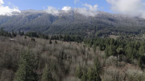 mountain range of evergreen forest and landscape forward shot in north bend washington state in the pacific northwest