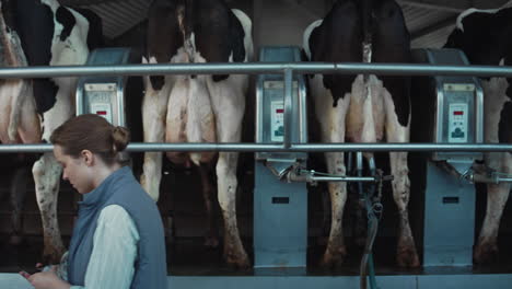 livestock worker walking milking production facility. supervisor control process