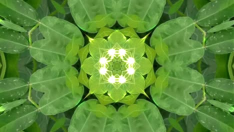 video abstracto que brilla, luz brillante que arregla movimientos sutiles de colores con una forma de flor, fondo negro