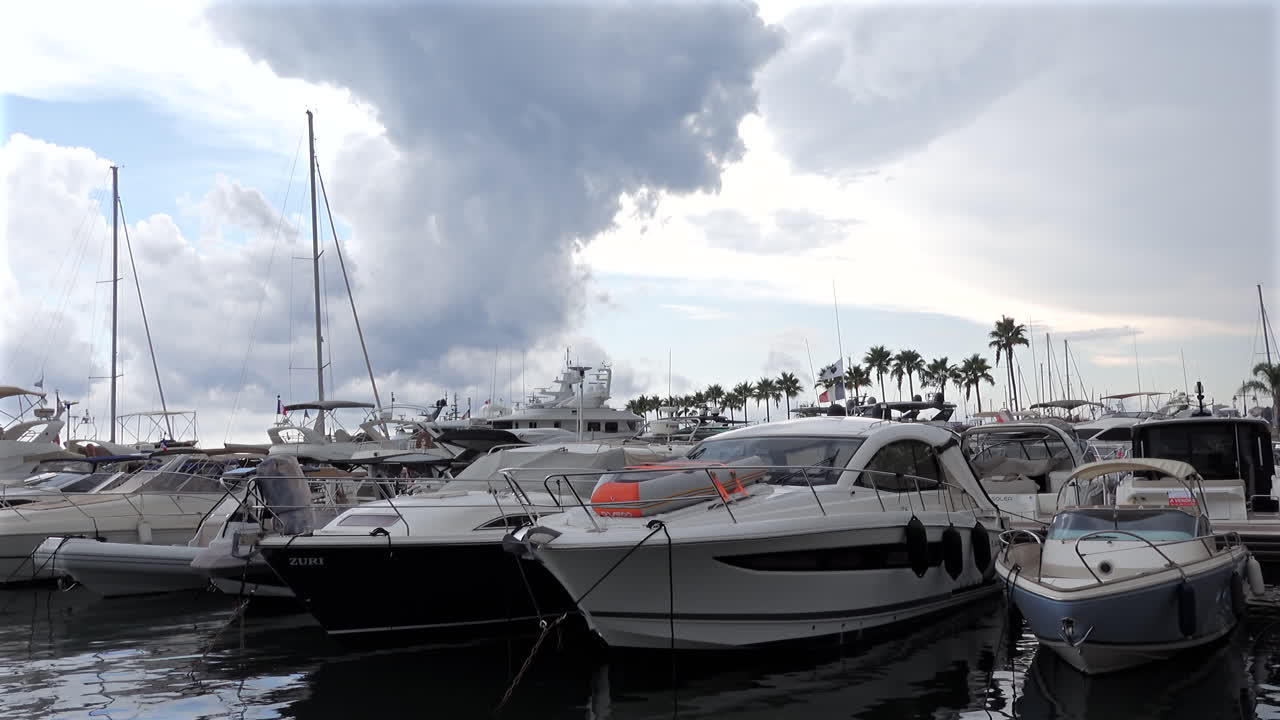 Many white boats docked in a harbour in the French Riviera