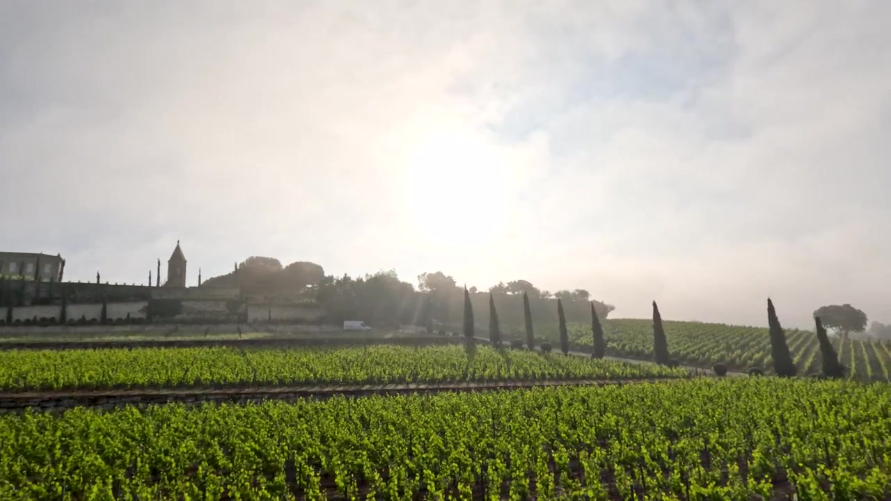 Carrellata attraverso un vigneto rigoglioso verso un borgo storico in pietra sotto la luminosa luce del sole mattutino.