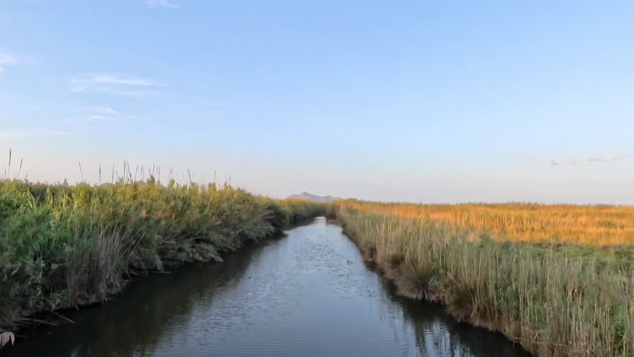 s'albufera de mallorca는 playa de muro에서 접근 할 수 있는 보호 된 자연 공원입니다.