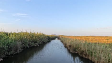 s'albufera de mallorca es un parque natural protegido al que se accede desde la playa de muro