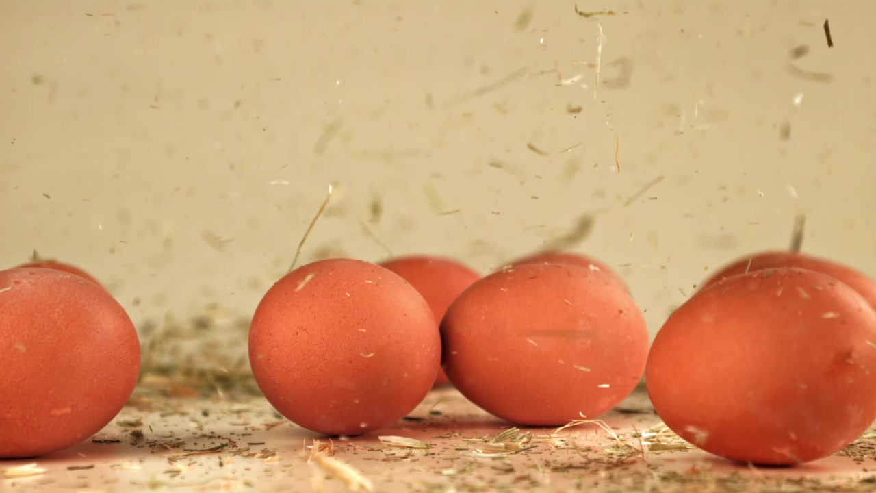 Slow Motion of Hay and Debris Falling on Fresh Brown Eggs