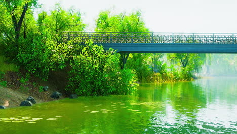 beautiful scenic in the park