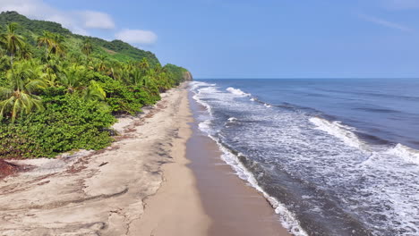 panoramic view caribbean sand beach palm waves coastline