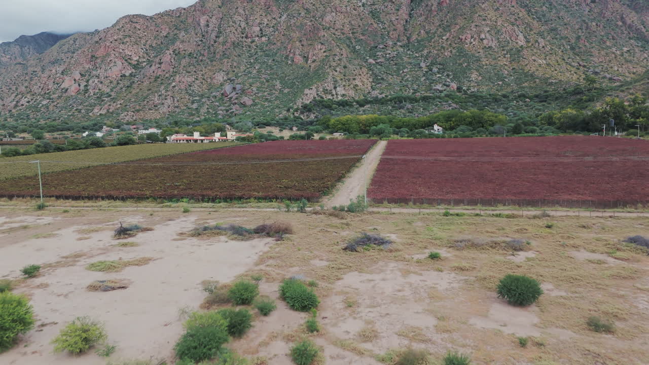 vista aérea de un campo de viñedos y un majestuoso fondo de montañas