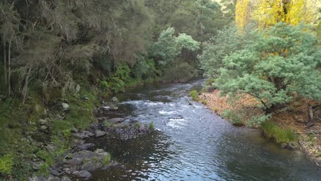 río que fluye a través de un valle en las estribaciones de las montañas