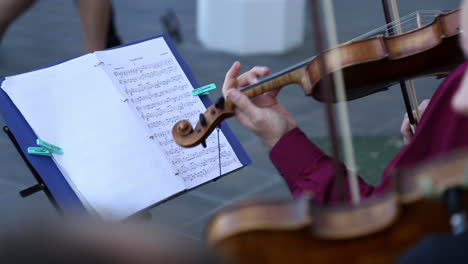 violinists playing during a classical concert