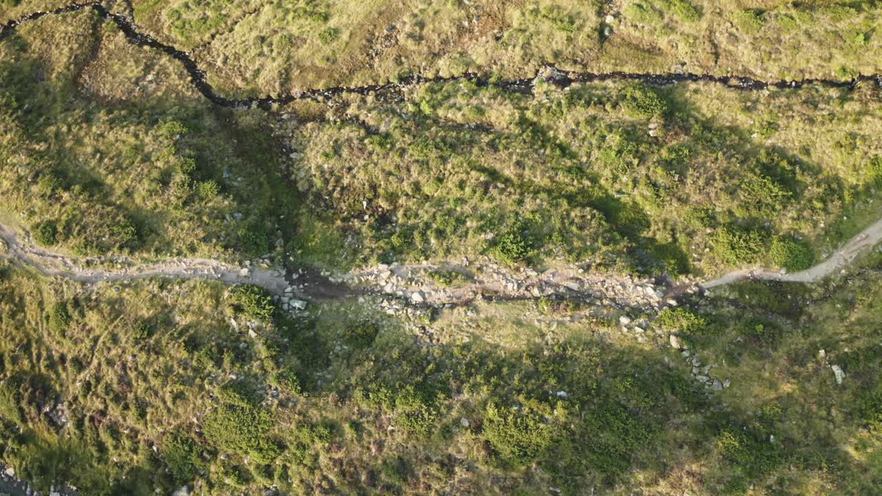 Peaceful drone shot of a person walking along a lush green alpine path in Kühtai, Tyrol. Ideal for wellness, nature or tourism visuals