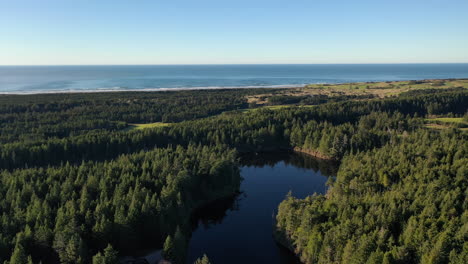 gorgeous view of fahys lake in oregon composed of green pine trees and bright blue sky above - aerial shot