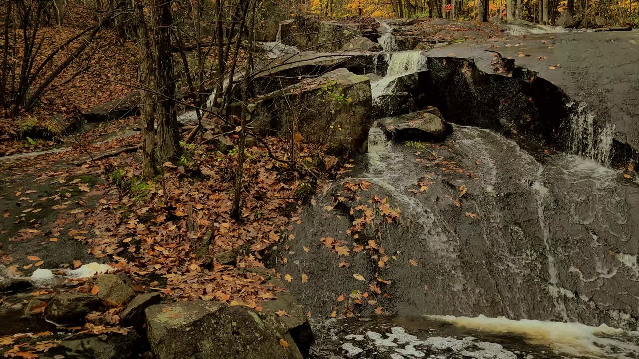 pequeña cascada y arroyo en el desierto prístino de