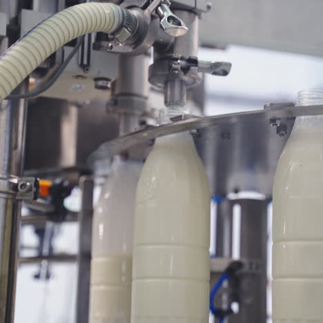 upgraded technology in dairy factory. plastic bottles filling with milk by mechanical machine. process of pouring milk into plastic bottles moving in a circle. dairy production.