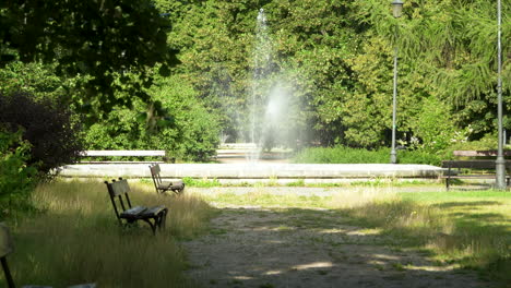 a serene park corner in warsaw with a bench and a gentle fountain amidst trees