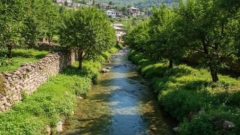 a serene stream flowing through lush greenery surrounded by trees and stones, capturing the tranquility of a picturesque landscape in the heart of nature