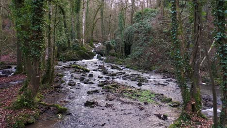 bird-fly-over-a-river-in-normandie