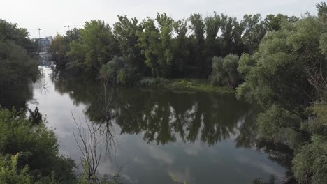 Imágenes-Aéreas-De-Un-Pequeño-Lago-En-Varsovia,-Polonia,-Con-árboles-A-Su-Alrededor