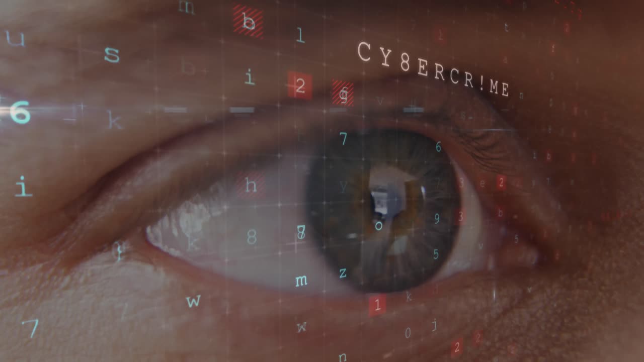 I hackerens øye 4k