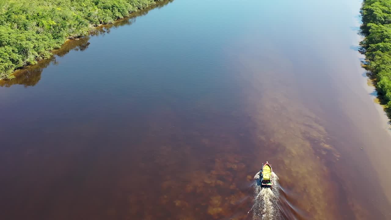 Amazon Rainforest natural landscape