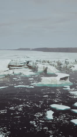 aerial view of icebergs in the arctic ocean