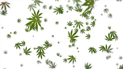 green smoking leaves