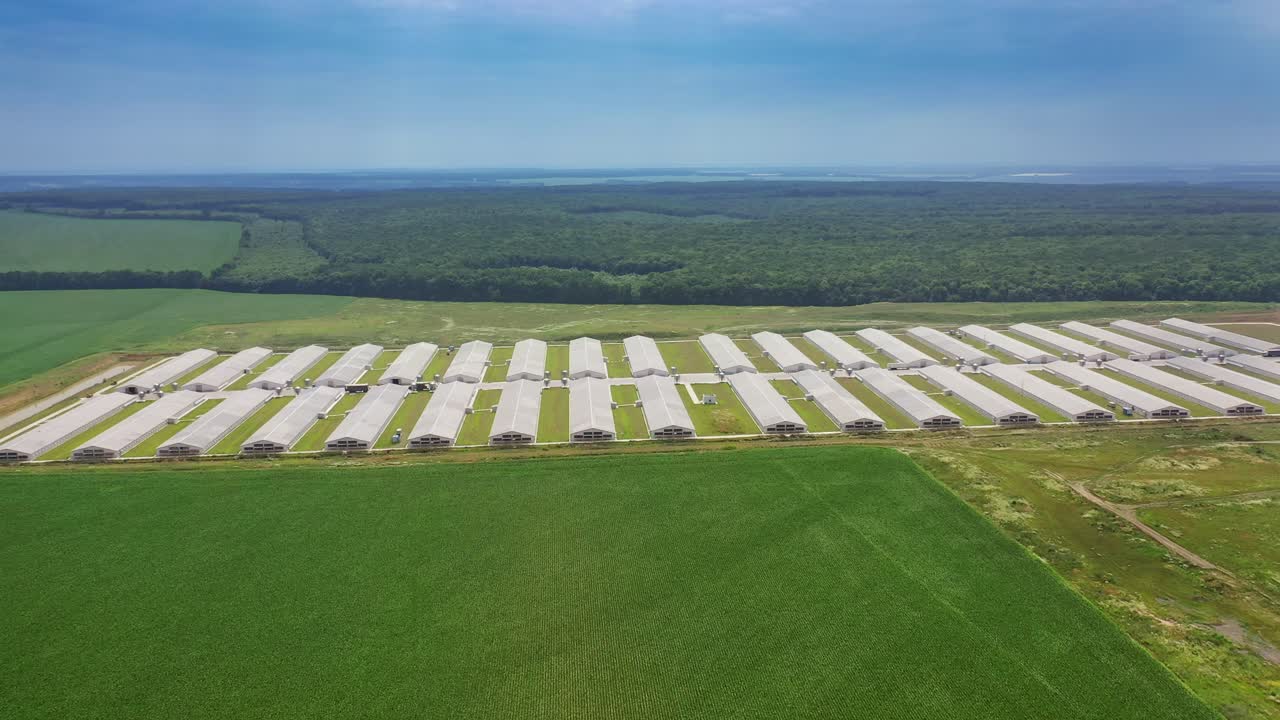 Huge area of modern farm for livestock. Large territory with new buildings for poultry farming on the background of green fields and forests. Aerial view.