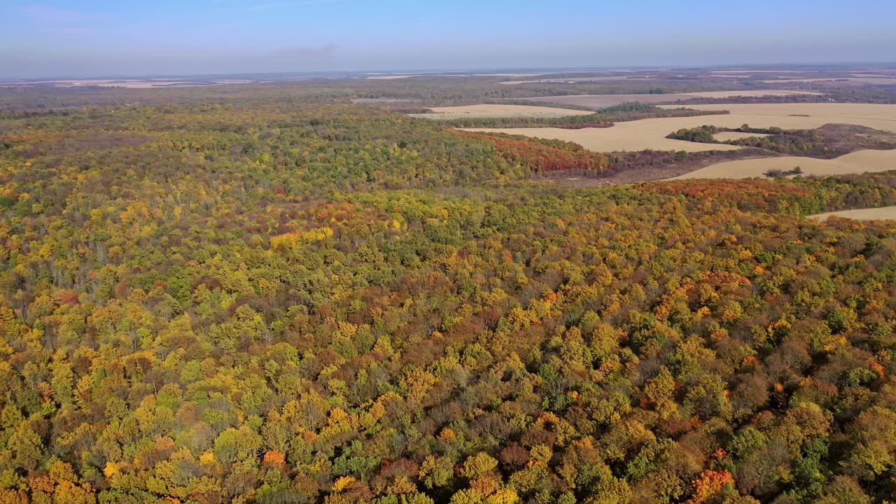 Golden autumn background. Aerial view of colorful trees at autumn