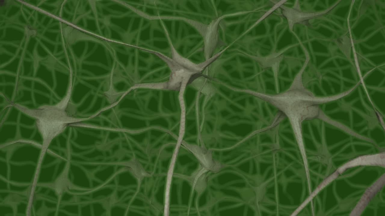 neuronas cerebro mente axón pensamiento red neuronal dendrita célula ciencia de la salud 4k