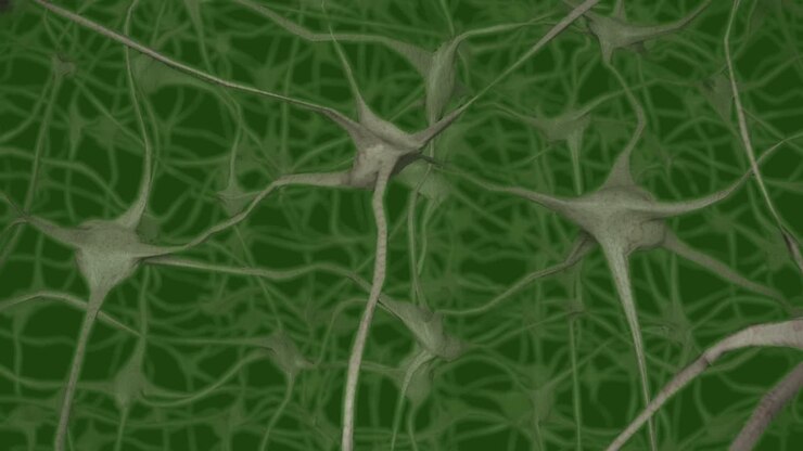 Neurons brain mind axon thought neural network dendrite cell health science 4k