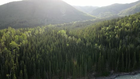 Video-Aéreo-De-Drones-Del-Increíble-Bosque-Denso-A-Orillas-Del-Río-Toad-Bajo-La-Luz-Del-Sol-En-El-Norte-De-Columbia-Británica,-Canadá