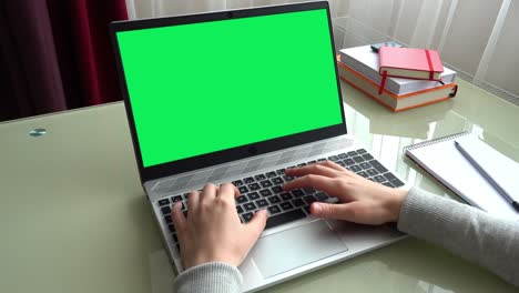 la chica que trabaja en la oficina de casa manos en el teclado. la pantalla es un fondo verde.