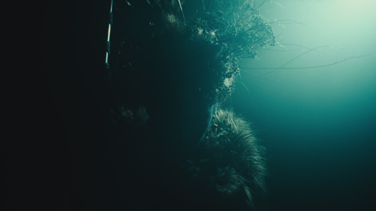 A creepy witch rises her head during the night storm