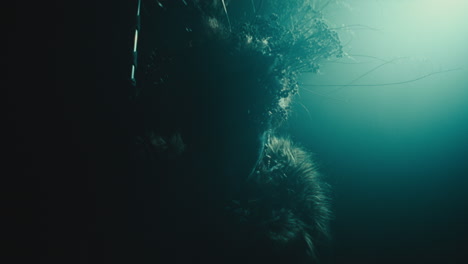 a creepy witch rises her head during the night storm