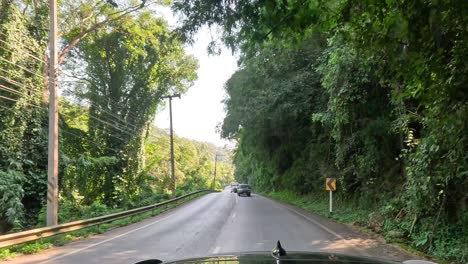 car journey on a sunny day through green landscapes