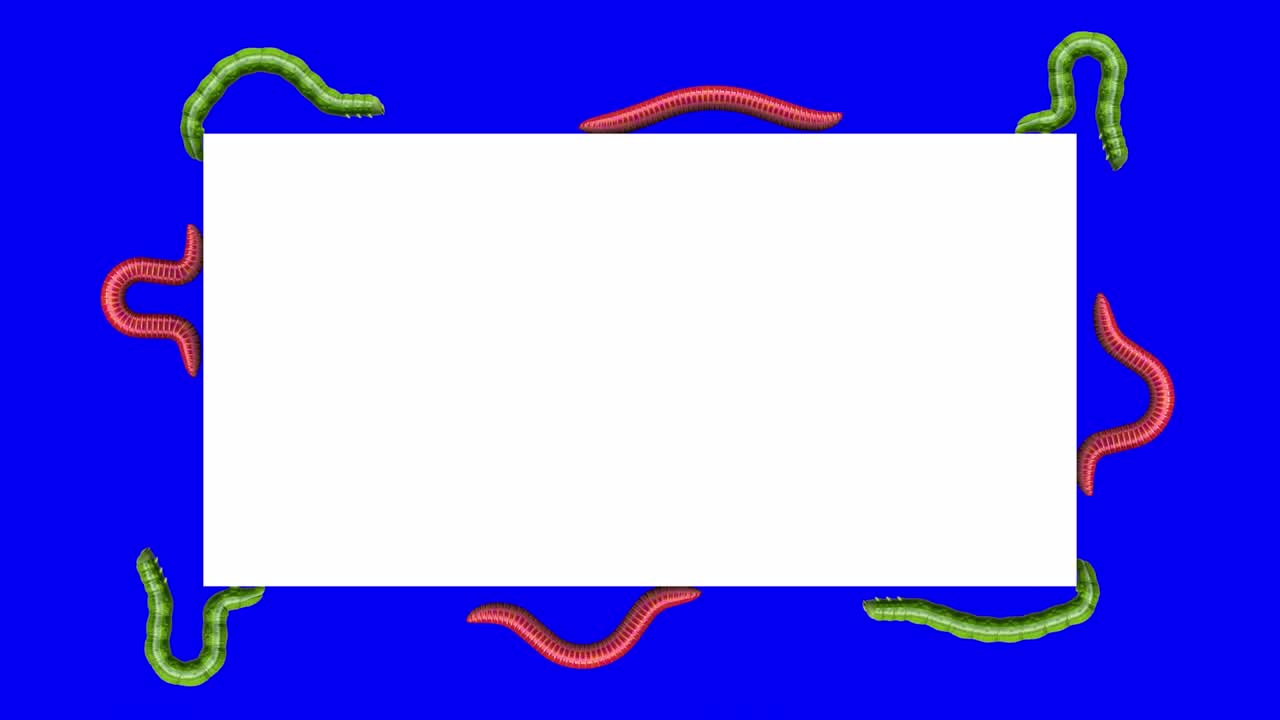 orugas y gusanos en rectángulo blanco, animación en bucle 3d