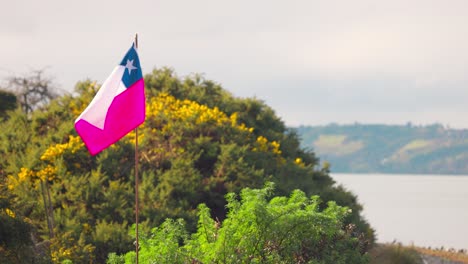 Bandera-Patriótica-Chilena-Ondeando-En-La-Costa-De-Castro,-Archipiélago-De-Chiloé-Al-Sur-De-Chile.