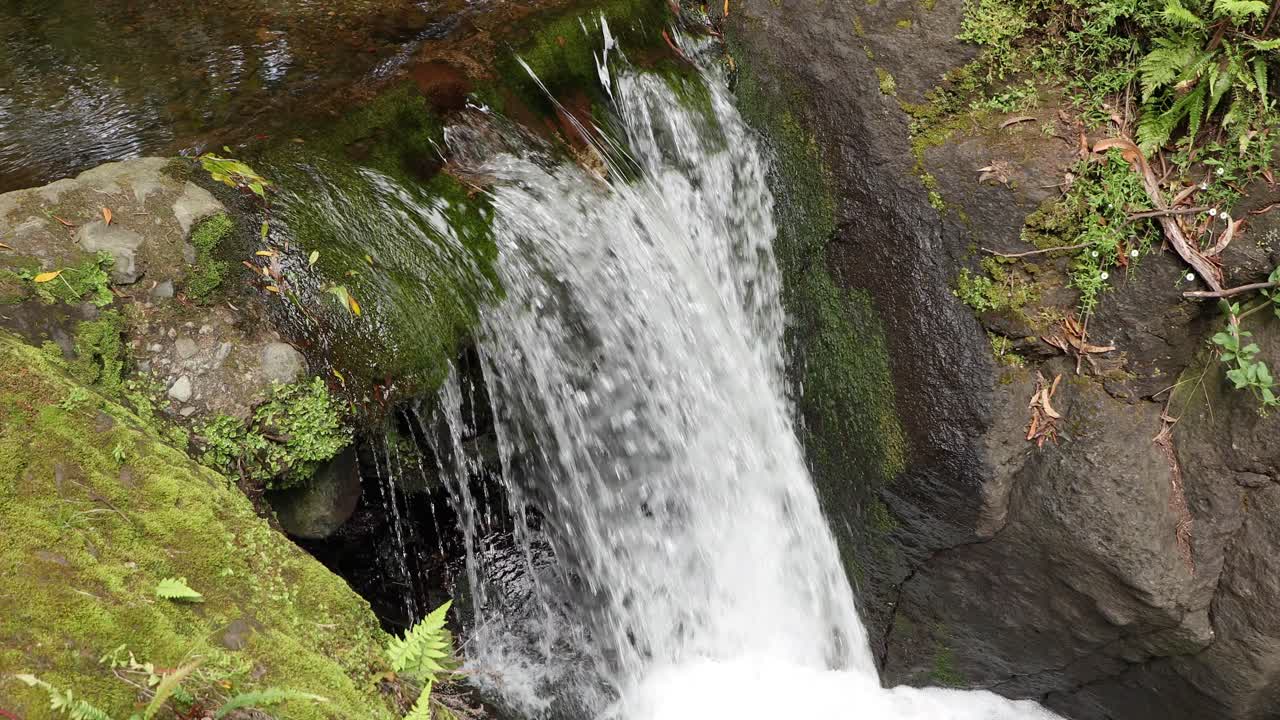 corrientes de agua que fluyen río abajo en el parque das frechas park en portugal - ángulo alto
