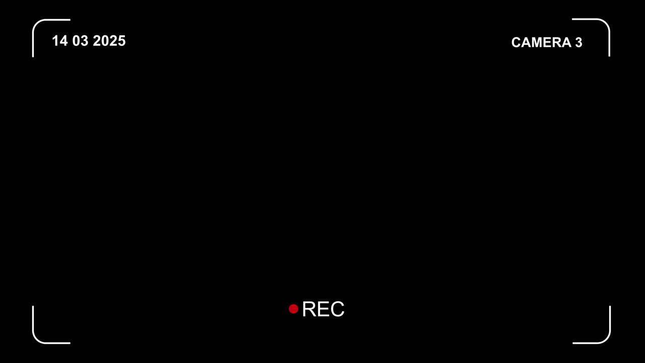 Camera Recording Viewfinder Interface with Date and REC