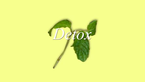 digitally generated video of detox