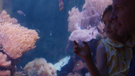 father with little girl in aquarium looking at fish swimming in corel reef curious child watching marine animals enjoying learning about sea life with dad in oceanarium