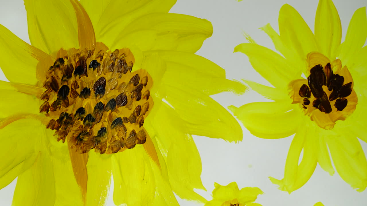 Dibujar girasoles. Lapso de tiempo